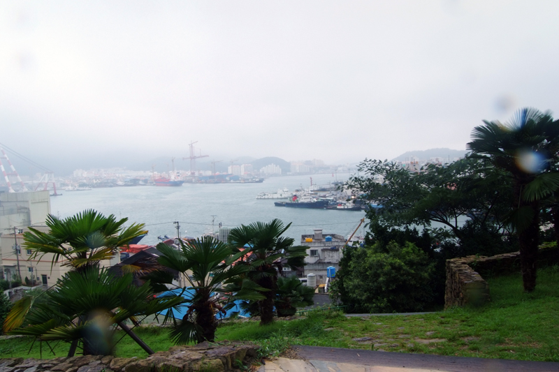 사진사진