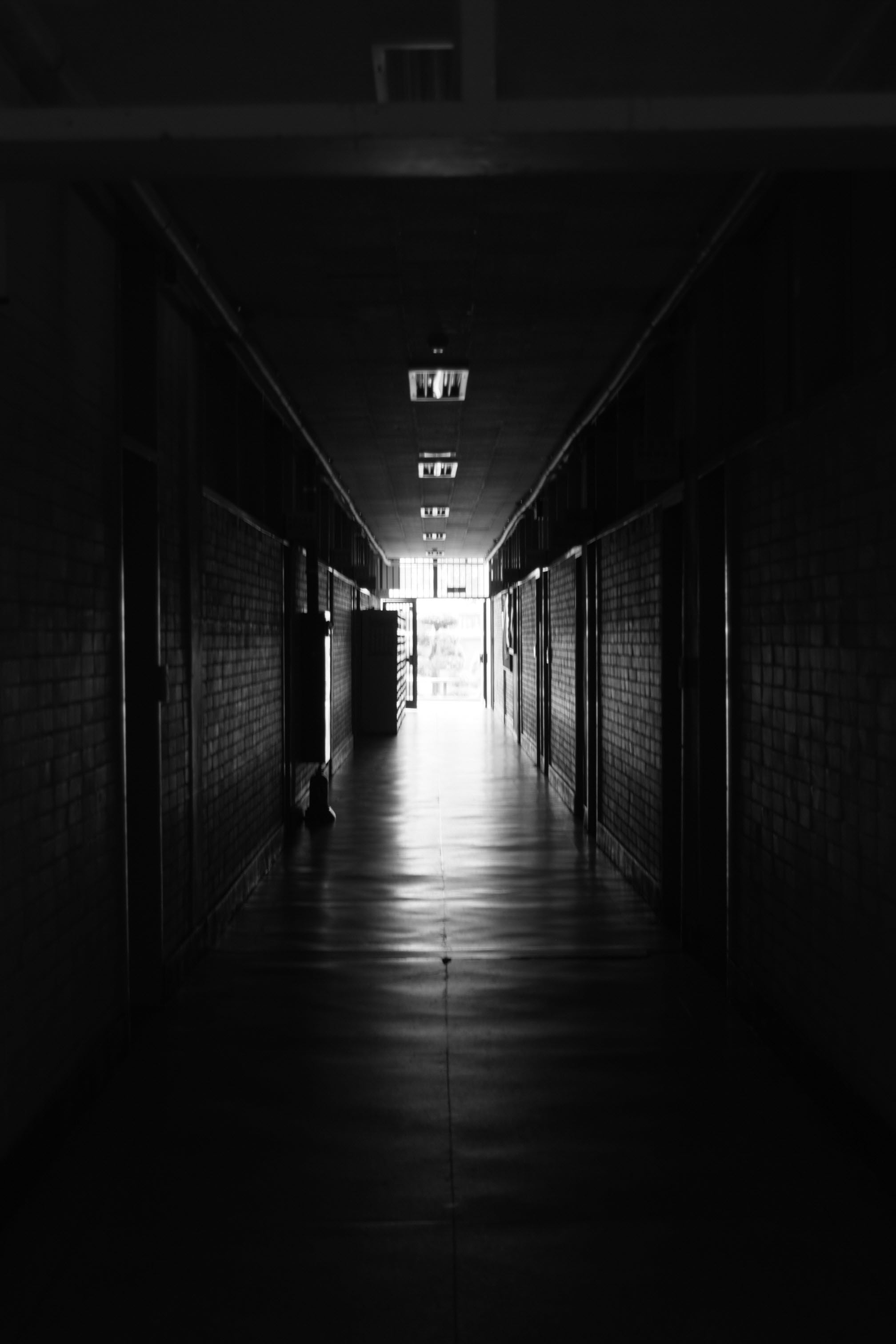 차이와 결여