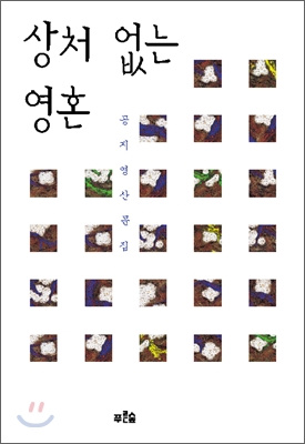 공지영, <상처 없는 영혼>